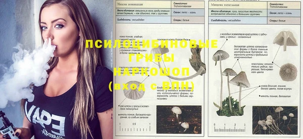 гашиш Богородицк